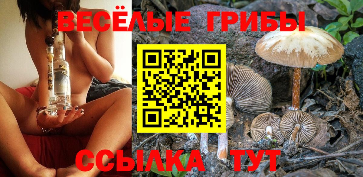 Печора  Псилоцибиновые грибы Psilocybine cubensis  Галлюциногенные грибы GOLDEN TEACHER  Вход с VPN 